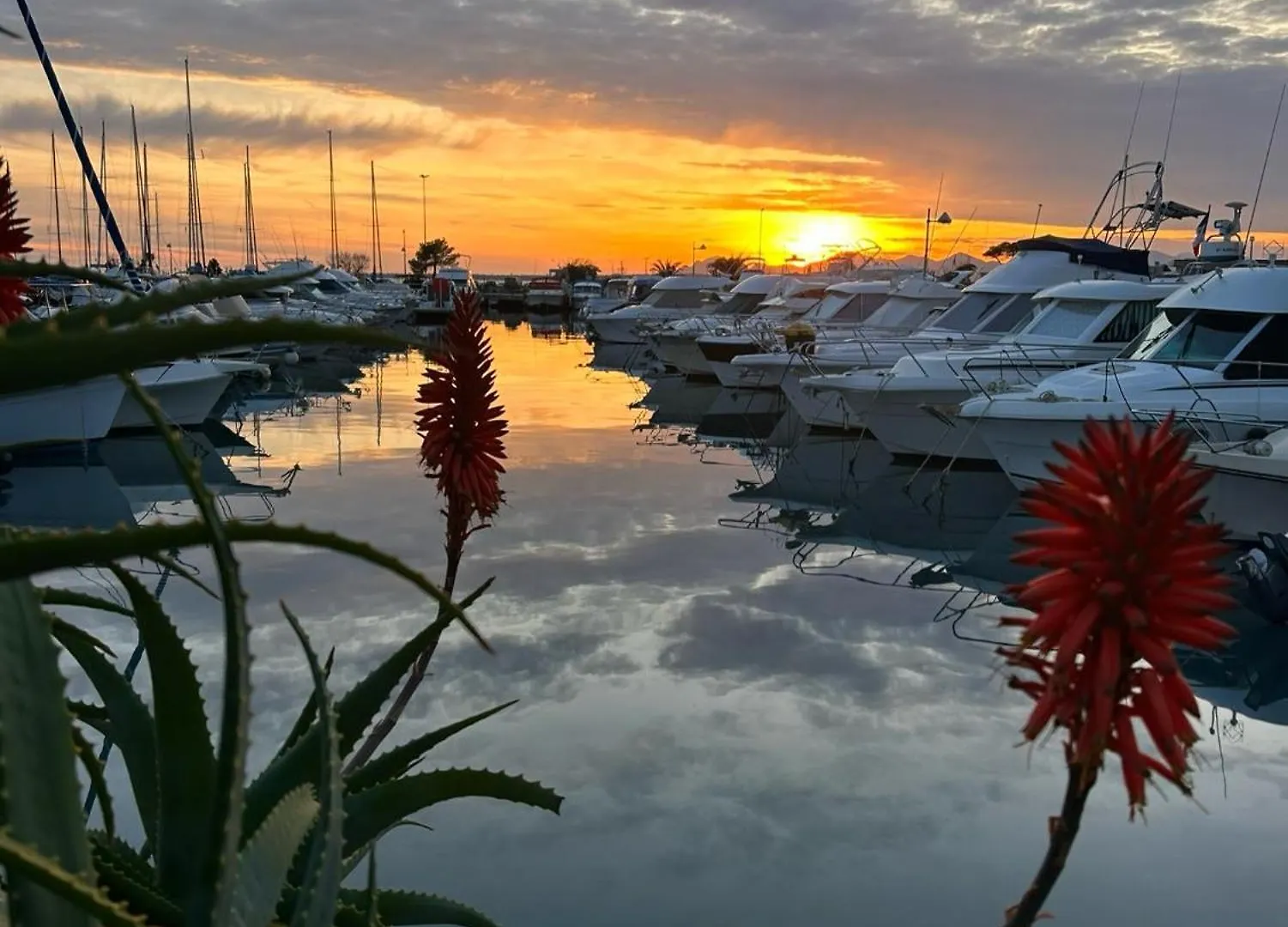 Antibes Juan-Les-Pins Cozy One Bedroom Apartment Near The Beaches And The Restaurants 0*,